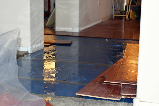 Professional Basement Flood Cleanup technician working in Sprague, WA